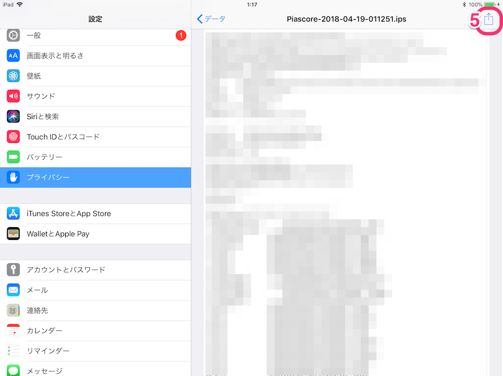 IMG_0248-2.png